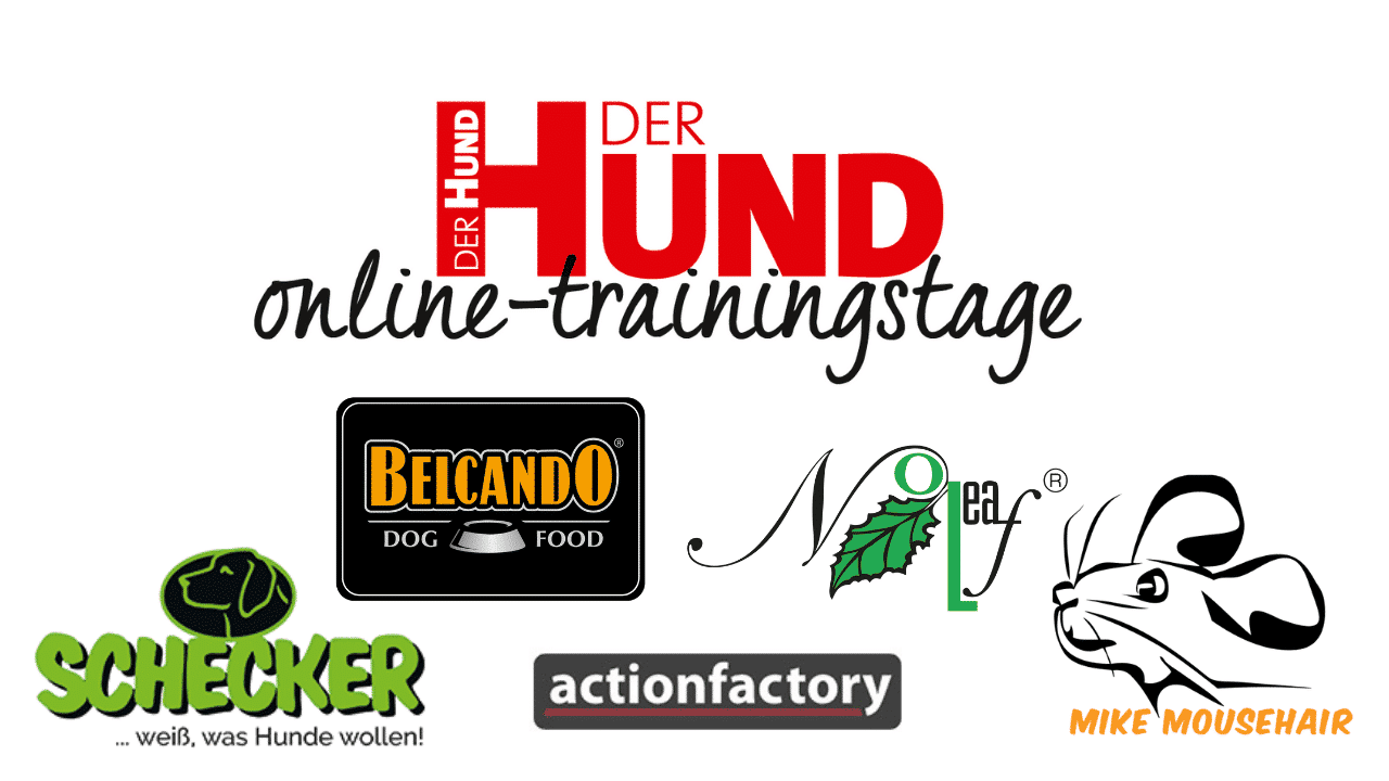 Webtalk Impulskontrolle & Frustrationstoleranz DER HUND Club